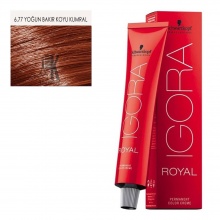 İgora Royal Saç Boyası 60 Ml 6.77 Yoğun Bakır Koyu Kumral